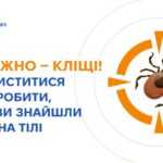 Обережно — кліщі! Як захиститися та що робити, якщо помітили на собі кліща